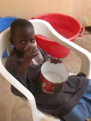 Amadi hojscl - Eugenol