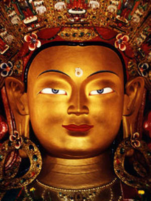 Bouddha 2 uitxuy - Eugenol