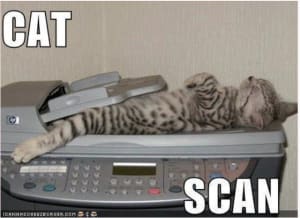 Cat scan qgra7s - Eugenol