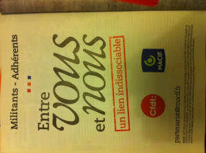 Cfdt kgzbo6 - Eugenol