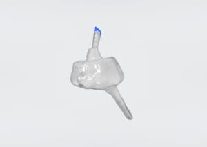 Charles 1 kp8ilg - Eugenol