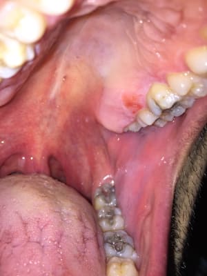Ckqxe7ermdyr1ezd4o41 - Eugenol