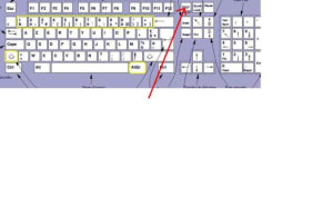 Clavier is2cu6 - Eugenol