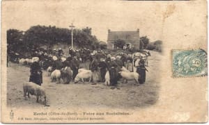 Foire aux cochons 22socialistes 22 sty6zk - Eugenol