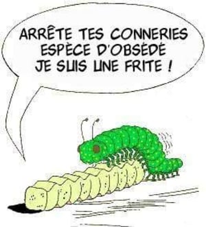 Frite gmdsji - Eugenol