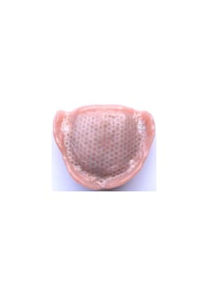 Grille1 g md9fxa - Eugenol