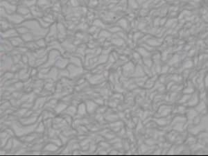 Gun micro1 tgyltq - Eugenol