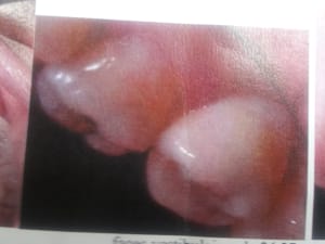 Hxbk9f1h7ebgwykgkczn - Eugenol