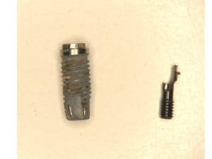 Implant x k9a4u4 - Eugenol