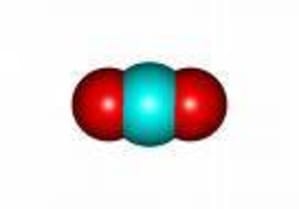 Indice 5 vbd3qx - Eugenol