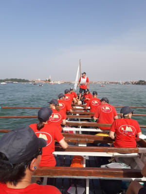 J2gll160xbr0obxp1pri8ouszv7x - Eugenol