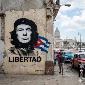 J9nresuillzgitdh9t0m8jyn7s8w - Eugenol