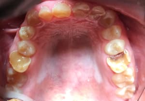 Jacpetpcfe8hwuwph8zd - Eugenol