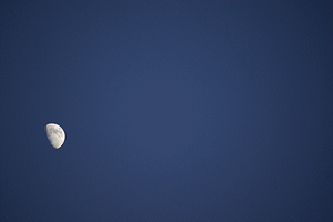 Lune q6ancv - Eugenol