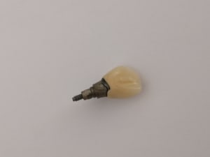 Luqbbgnjiugan1lwjusf - Eugenol