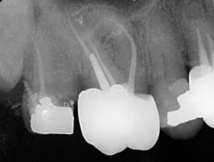 Luqicvn88sdz347qtg6ilrzbzkmf - Eugenol