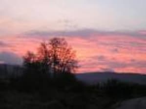 Matin de février gebru9 - Eugenol