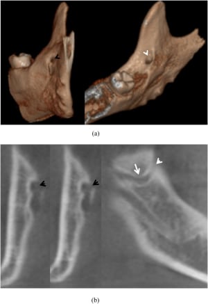 Ntlmgg6alakxokyvhgrg - Eugenol