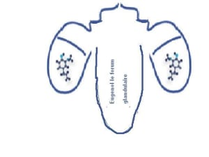 Ou encore xqsemu - Eugenol