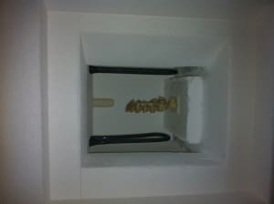 Photo 1 wn3mip - Eugenol