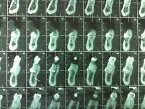 Photo jjan5k - Eugenol