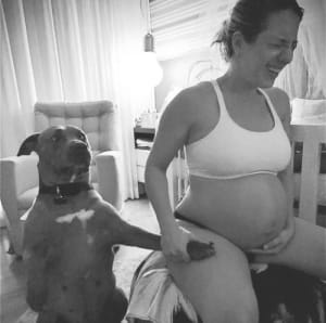 Pousser hiases - Eugenol