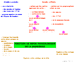 Reposmdb xqlr0p - Eugenol