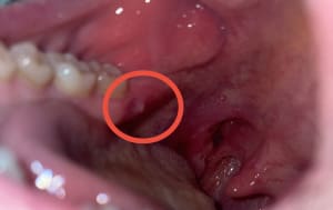 S8cuxpkk8ynecasq20rm - Eugenol