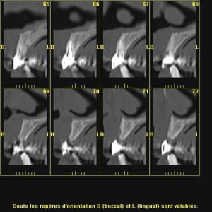 Scan 001 j9slmd - Eugenol