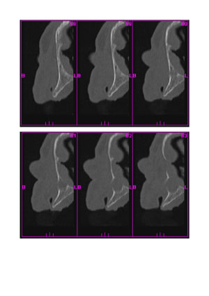 Scan1 2 iovam0 - Eugenol