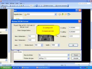 Sccaling 0 - Eugenol