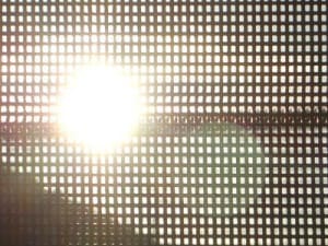 Sun171 nb4vze - Eugenol