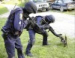 Swat peur chaton vza63x - Eugenol