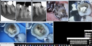 U6y97bnl90wb2y37sgb8o3653erq - Eugenol