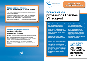 Unapl reforme taxe professionnelle z9osac - Eugenol