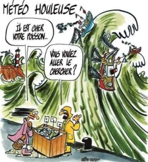 Vague wpzkpq - Eugenol