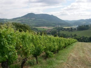 Vue de la cuisine kp787k - Eugenol