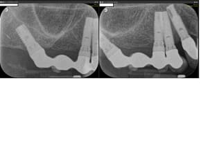 Vy5kloqn8s2u1rhsfmkrpl776kzc - Eugenol