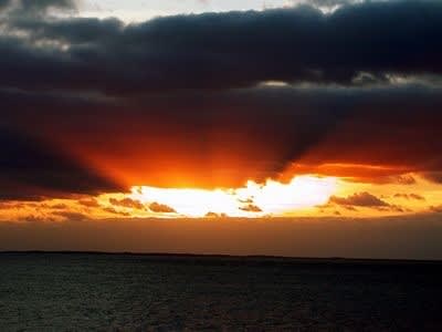 Été calendrier ny3gwm - Eugenol