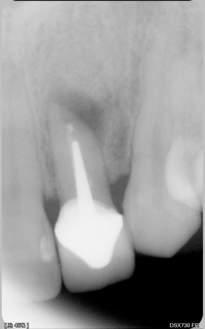 002 dyd88u - Eugenol