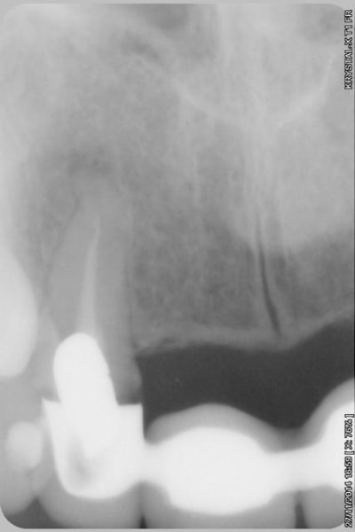 003copier gsgoia - Eugenol