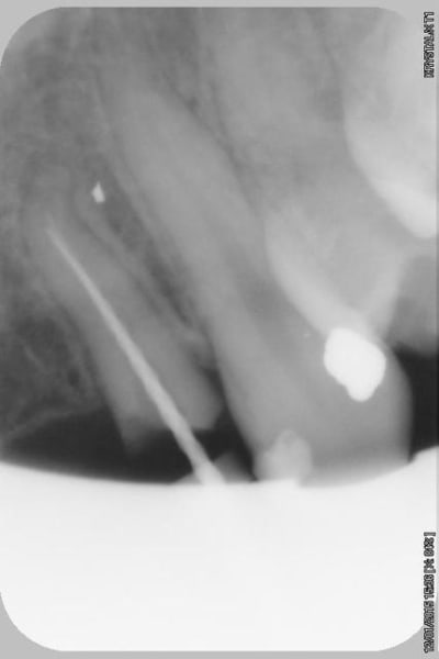 006copier qigpy9 - Eugenol