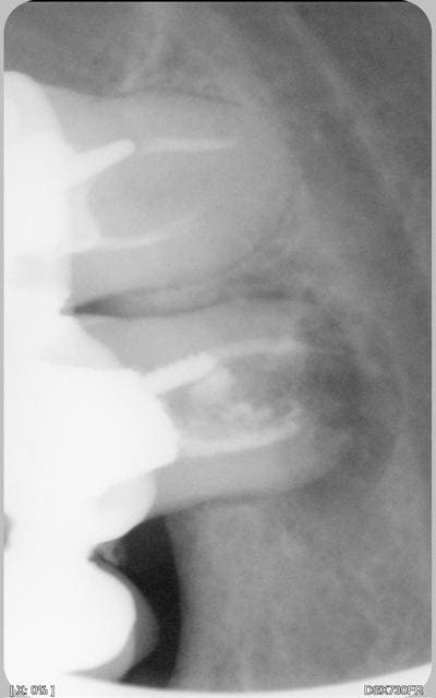 009 t8rgtc - Eugenol