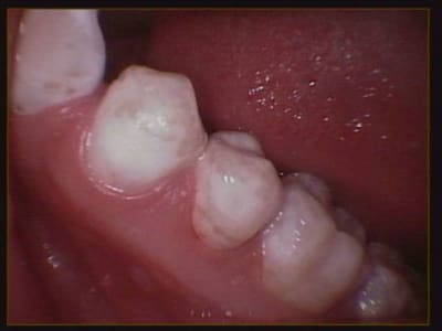 012 aqvwi8 - Eugenol
