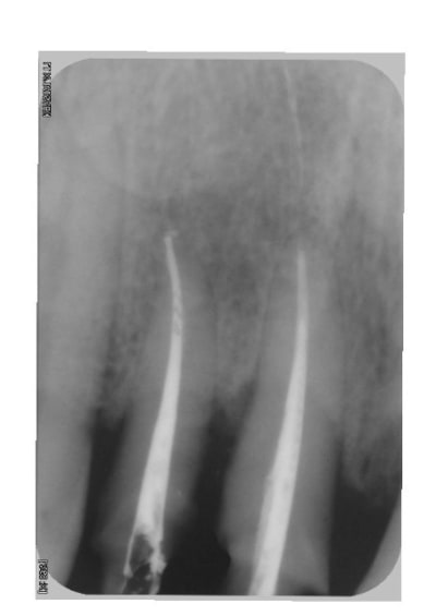 022 z9vsu8 - Eugenol