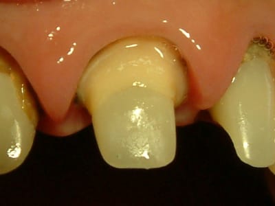 04051410 bbllwk - Eugenol