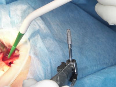 100 4825 secerp - Eugenol