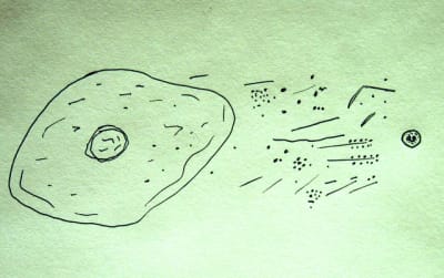 11 1b ijqqrj - Eugenol