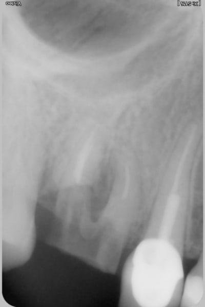 14874002 uq75yy - Eugenol