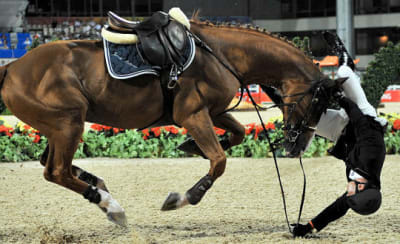 1670164 spectaculaire chute de cheval 1  owd89f - Eugenol